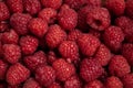 Raspberry background. Fresh large bright appetizing raspberries close up. Royalty Free Stock Photo
