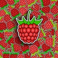 Raspberry background