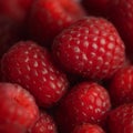 Raspberry background square composition red soft and juicy Royalty Free Stock Photo