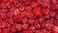 Raspberry forest berry.Raspberry background top view. Royalty Free Stock Photo