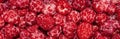 Raspberry forest berry.Raspberry background top view. Royalty Free Stock Photo