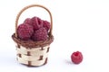 Raspberry basket