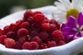 Raspberry basket / raspberry bush branch / growing raspberries