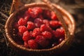 Raspberry Basket and Summer Collection. . Picking raspberry. The concept of an antioxidant and super food.