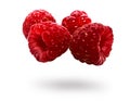 Raspberry berries, close-up isolated on a white background Royalty Free Stock Photo