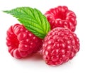 Raspberry berries with green leaf healthy food Royalty Free Stock Photo