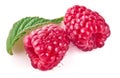 Raspberry berries with green leaf healthy food Royalty Free Stock Photo