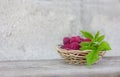 Raspberry berries lie in a wicker wooden basket on a gray table, fresh berries for a healthy diet, pink berries and green leaves, Royalty Free Stock Photo