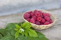 Fresh pink raspberries lie in a wooden wicker basket next to green leaves on a wooden table Royalty Free Stock Photo