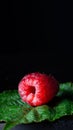 Raspberry berry on a black background.