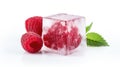 Raspberry berry and fresh mint leaves in a frozen square ice cube on a white background
