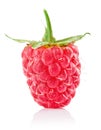 Raspberry berry with green leaf