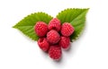 raspberry berry heart shape with leaves isolated on white background top view