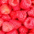 Raspberry berry raspberries berries fruits fruit background square