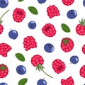 Raspberry and bilberry vector seamless pattern. Sweet red and blue northern forest berries isolated on white background