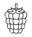 Raspberry black line icon