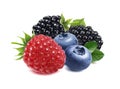 Raspberry, blackberry, blueberry, berries mix isolated Royalty Free Stock Photo