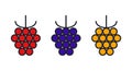 Raspberry, blackberry, cloudberry icon. Linear color icon, contour, shape, outline. Thin line. Modern minimalistic