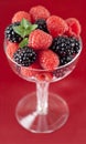 Raspberry and blackberry dessert