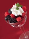 Raspberry and blackberry dessert