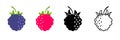 Raspberry blackberry icon. Natural fruit raspberry and blackberry icons. Stock vector