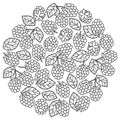 Raspberry blackberry with leaves pettern for coloring book