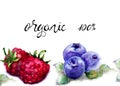 Raspberry and Blueberries with title organic 100 percent