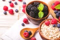 Raspberry, blueberry with mint and oatmeal breakfast or smoothie Royalty Free Stock Photo