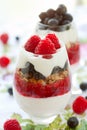 Raspberry and blueberry parfait Royalty Free Stock Photo