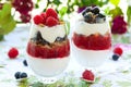 Raspberry and blueberry parfait Royalty Free Stock Photo