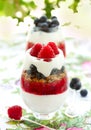 Raspberry and blueberry parfait Royalty Free Stock Photo