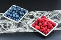 Healthy forest fruits. Red raspberries and blue bilberries. Black background Royalty Free Stock Photo