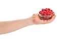 raspberry bowl in hand