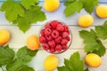 raspberry bowl on wood