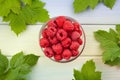 raspberry bowl on wood