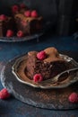 Raspberry brownies served with fresh berries Royalty Free Stock Photo