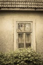 Raspberry bush broken window of an old abandoned house in the ba