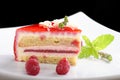 Raspberry cake / fine dining