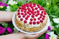 Raspberry cake, homemade biscuit cake with cream, peanut and fresh raspberry Royalty Free Stock Photo