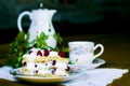 Raspberry cake and tea Royalty Free Stock Photo