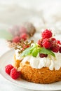 Raspberry Cake with whipped cream on pink background Royalty Free Stock Photo