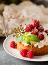 Raspberry Cake with whipped cream on pink background Royalty Free Stock Photo