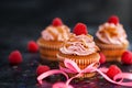 Raspberry and caramel cupcakes on dark background