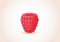 Raspberry is centered in the image, casting a subtle shadow below, Royalty Free Stock Photo