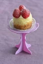 Raspberry cheesecake mini vertical Royalty Free Stock Photo