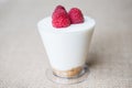 Raspberry Chesse Cake Cup Royalty Free Stock Photo