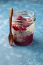 Raspberry chia seed yogurt pudding with muesli and fresh berries Royalty Free Stock Photo