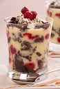 Raspberry Chocolate Trifle Royalty Free Stock Photo