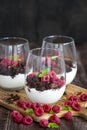 Raspberry trifle Royalty Free Stock Photo