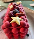 Raspberry Christmas log with atypical design